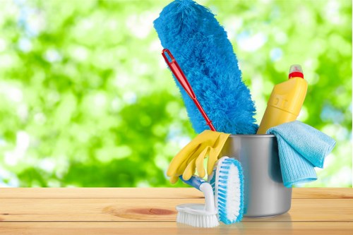Experienced Somers Town carpet cleaning service preparing a clean living space