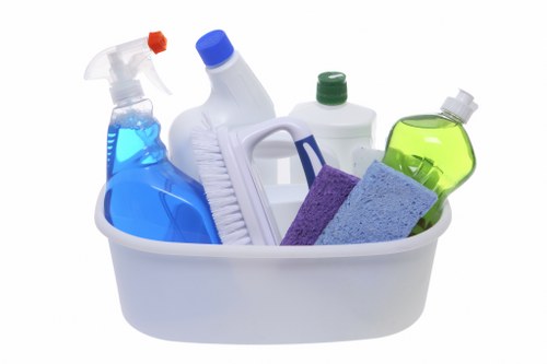 Secure payment interface for Somers Town Carpet Cleaners