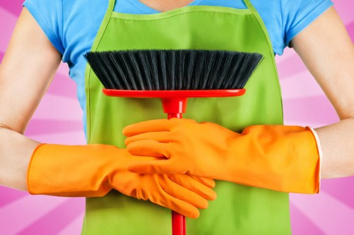Technician assessing a carpet cleaning issue