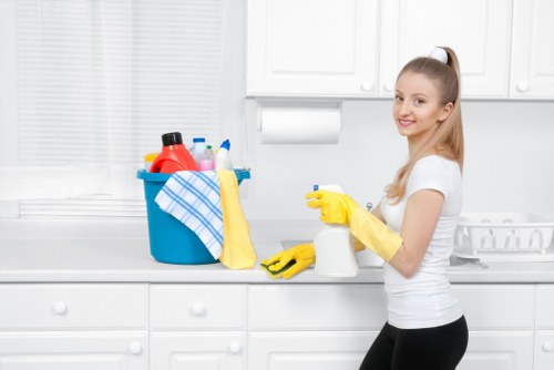 Spot cleaning and vacuuming a mattress in Somers Town home