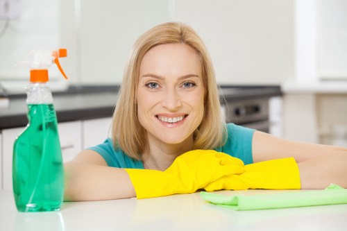 Professional pet stain odour removal in a Somers Town living room