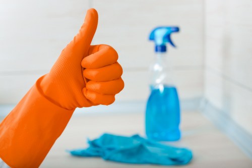 Professional stain removal service in Somers Town for carpets and upholstery