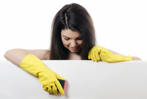 Inclusive Somers Town carpet cleaning website access and usability concept