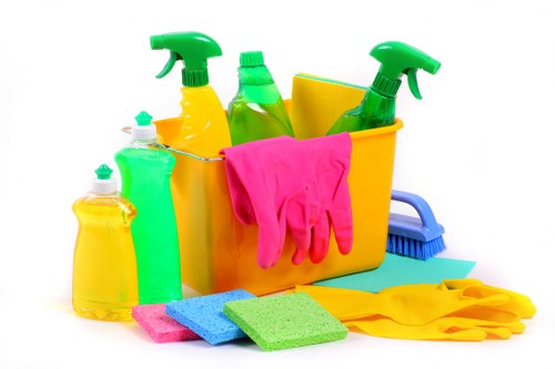 Specialist sofa and chair cleaning service in Somers Town