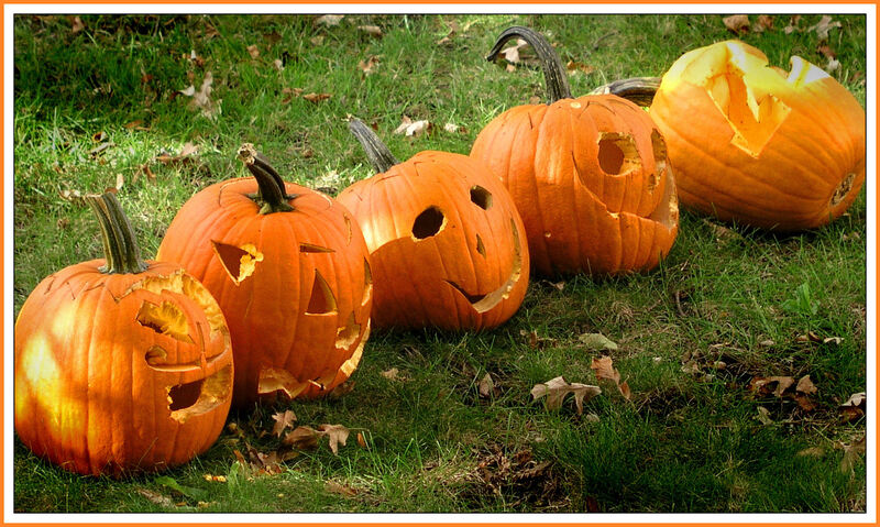 Eco-friendly green cleaning